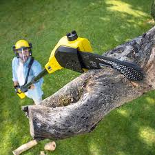 Best Tree Health Inspection  in Altadena, CA